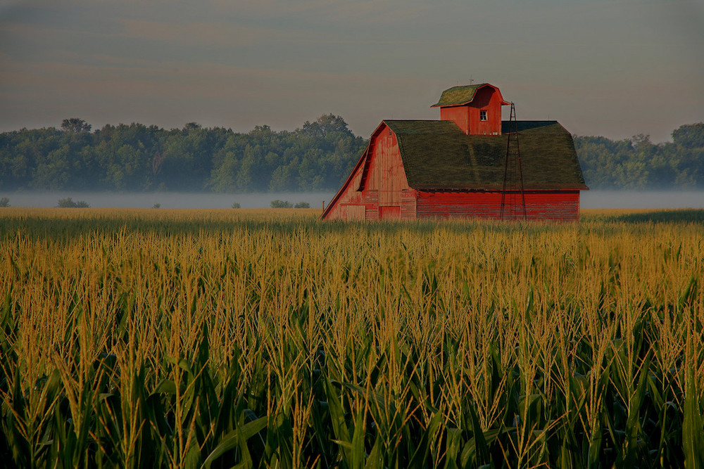 farm and crop insurance Columbus OH